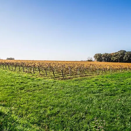 La Grange Du Cleray Vallet