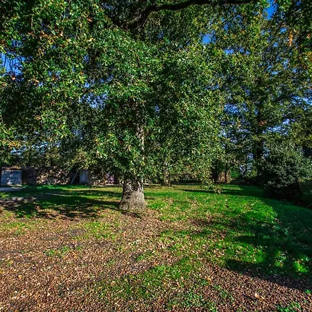 La Grange Du Cleray בית הארחה Vallet