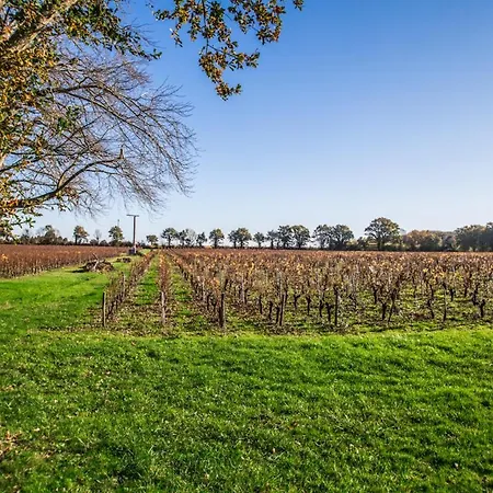 La Grange Du Cleray Maison d'hôtes