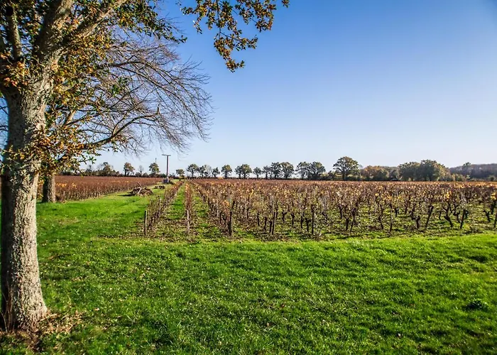 La Grange Du Cleray Vendégház